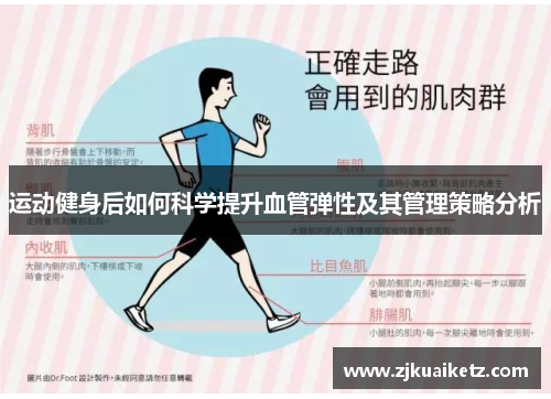 运动健身后如何科学提升血管弹性及其管理策略分析